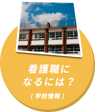 新潟県 看護のお仕事ステーション 看護職になるには